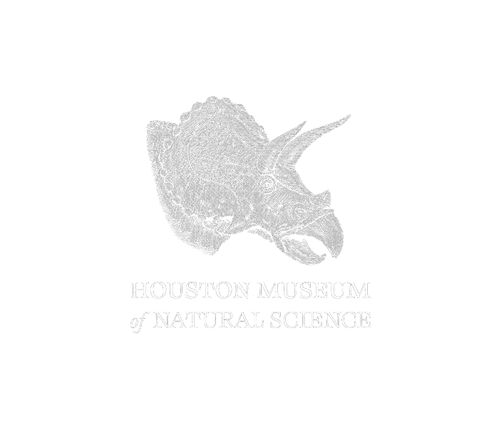 Houston Museum of Natural Science