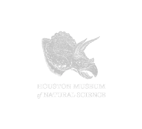 Houston Museum of Natural Science